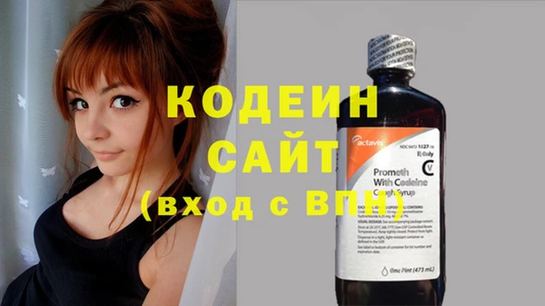 прущие грибы Богданович