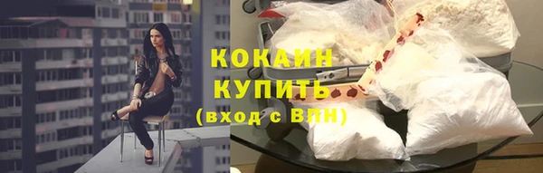 прущие грибы Богданович