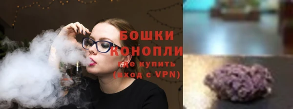 прущие грибы Богданович