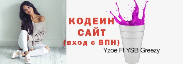 прущие грибы Богданович