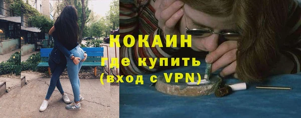 прущие грибы Богданович